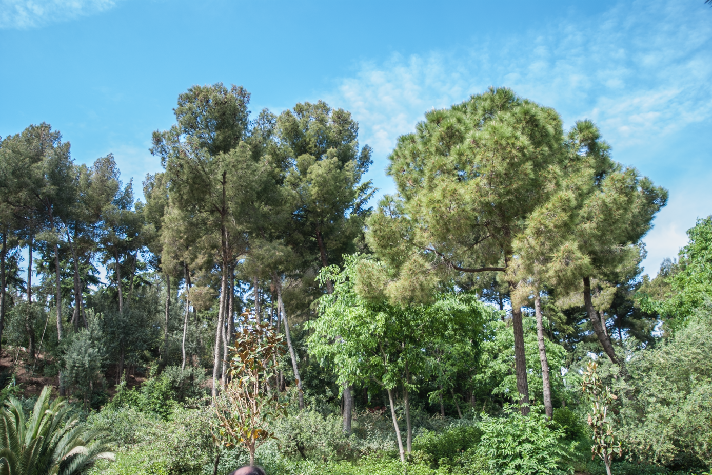 Parc Güell